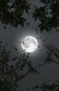 Img 20240102 Wa0032