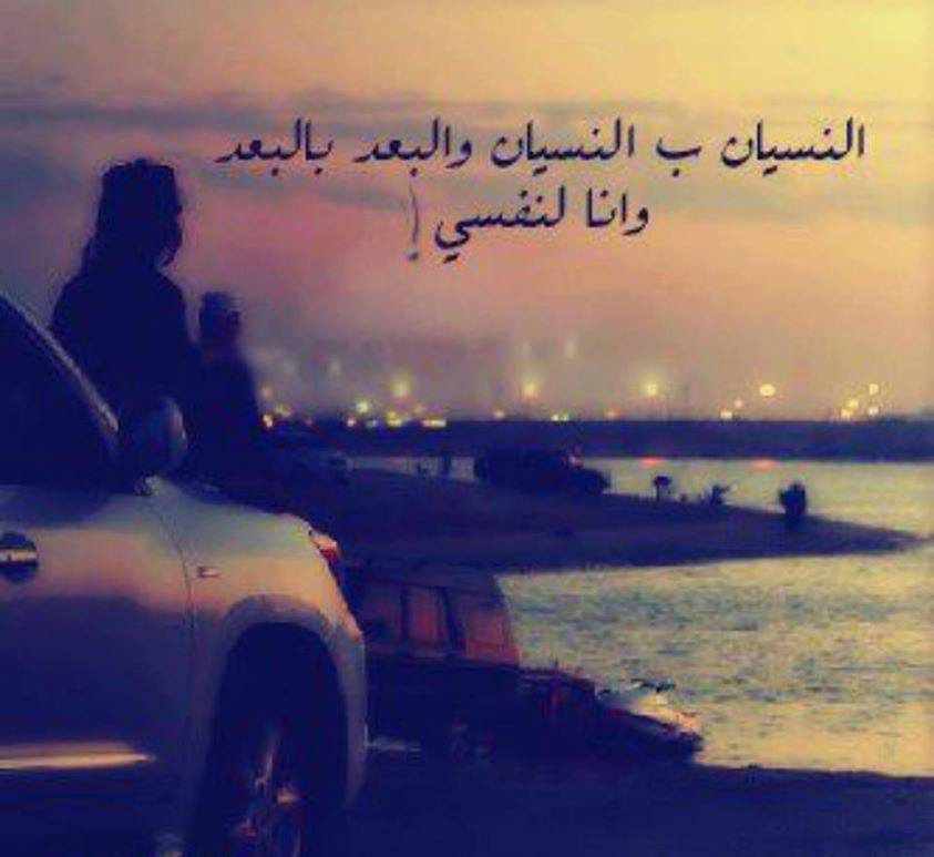 Img 20240108 Wa0318