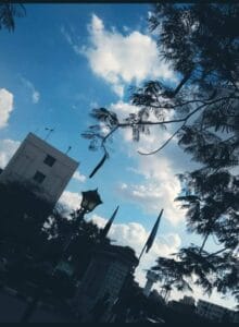 Img 20240111 Wa0064