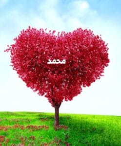 Img 20240122 Wa0003