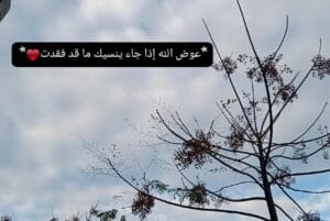 Img 20240123 Wa0107