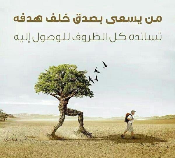 Img 20240124 Wa0136