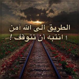 Img 20240129 Wa0169