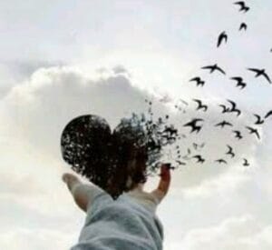 Img ٢٠٢٤٠١١٦ ١٩٣٠٠٠