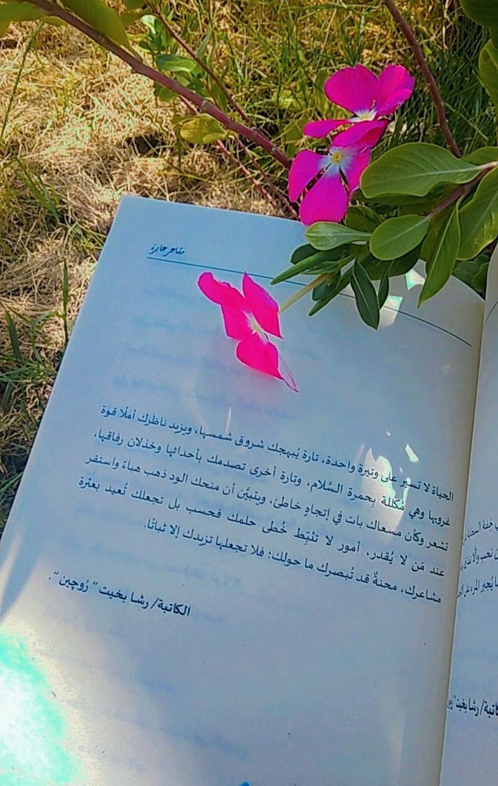 Img 20240201 Wa0037