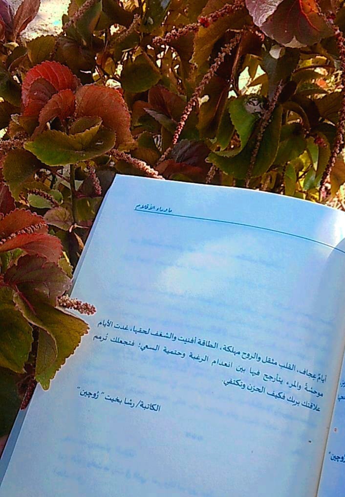 Img 20240204 Wa0212