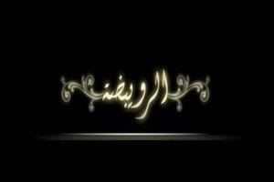 Img 20240205 Wa0232