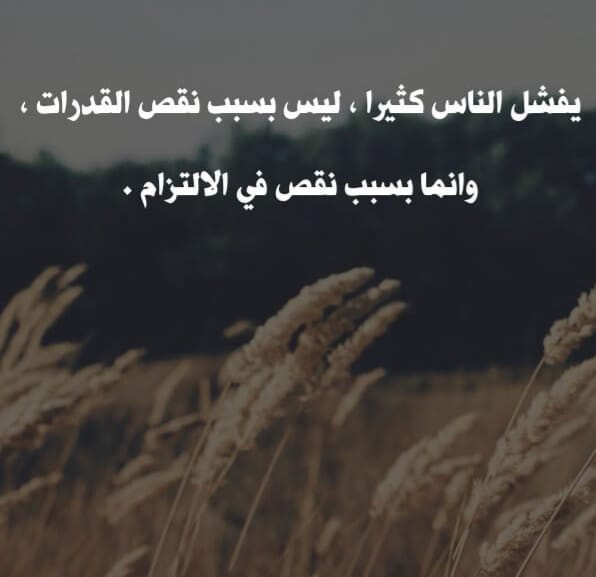 Img 20240206 Wa0215