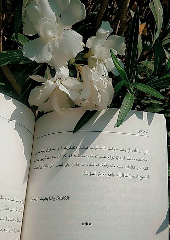 Img 20240206 Wa0218