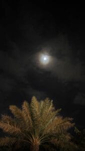 Img 20240229 Wa0007