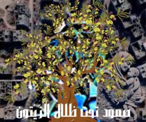 Img 20240306 Wa0153