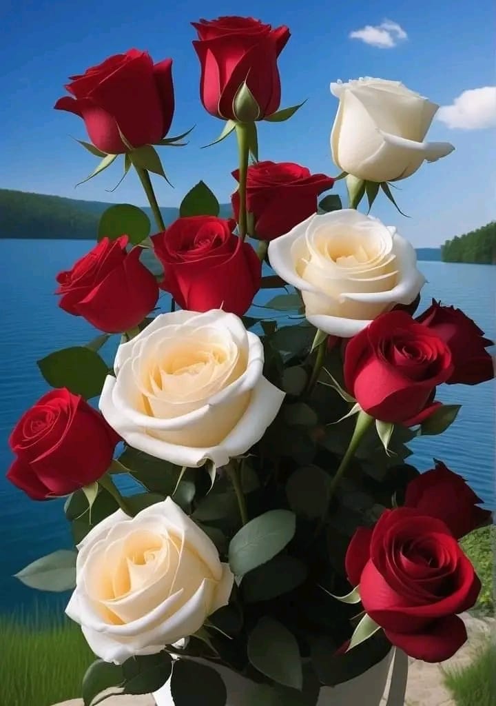 Img 20240320 Wa0004