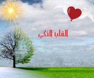 Img 20240323 Wa0024