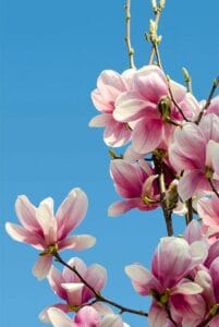 Img 20240323 Wa0035