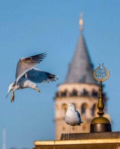 Img 20240331 Wa0027