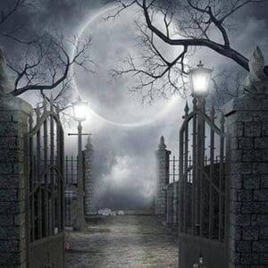Images (3)