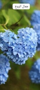 Img 20240509 Wa0167
