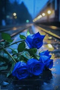 Img 20240526 Wa0137