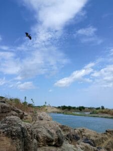 Img 20240527 Wa0036