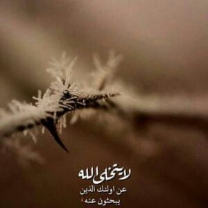 Img 20240527 Wa0146