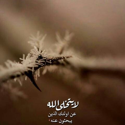 Img 20240527 Wa0146