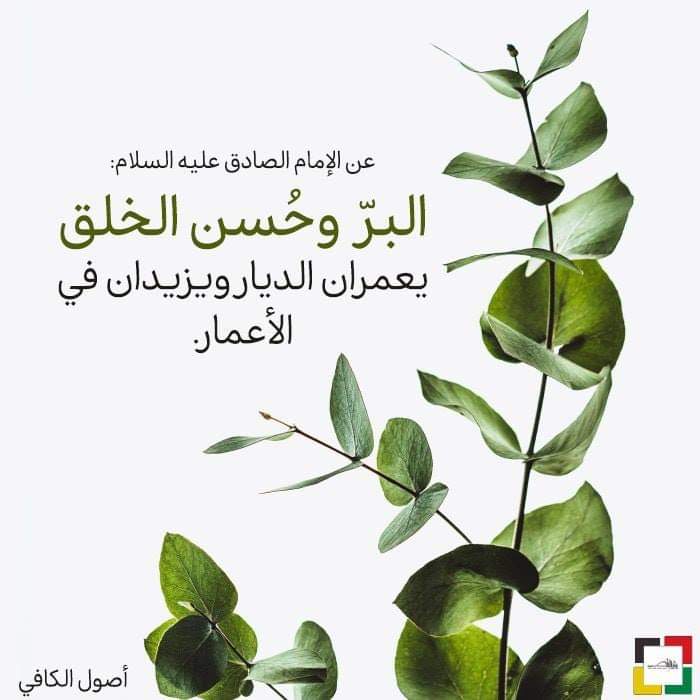 Img 20240420 Wa0036