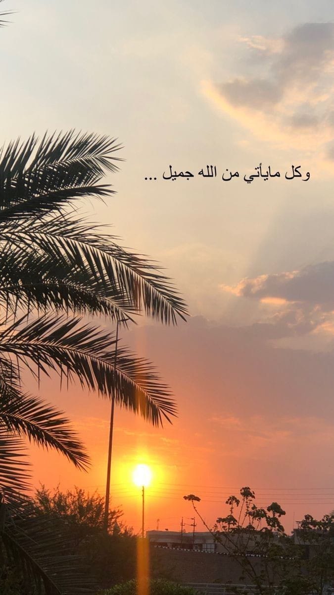 Img 20240612 Wa0060
