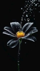 Img 20240621 Wa0165