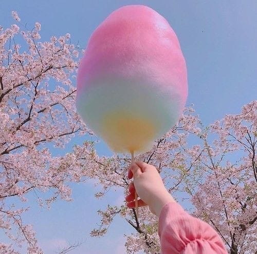 Img 20240624 Wa0241
