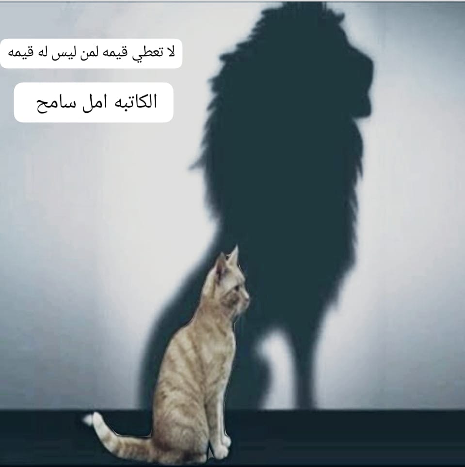 Img 20240625 Wa0449