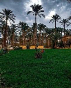 Img 20240626 Wa0202