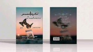 Img 20240629 Wa0014