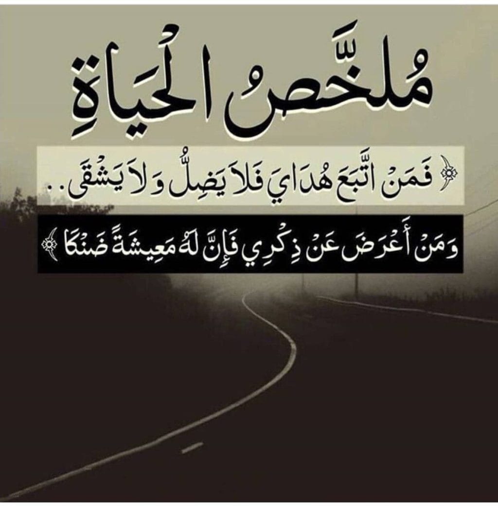 B555c6f17a0f497fe8d7f79cb2872469
