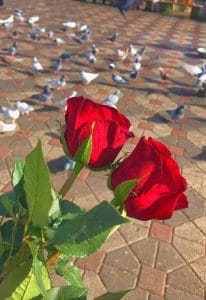 Img 20240630 Wa0237