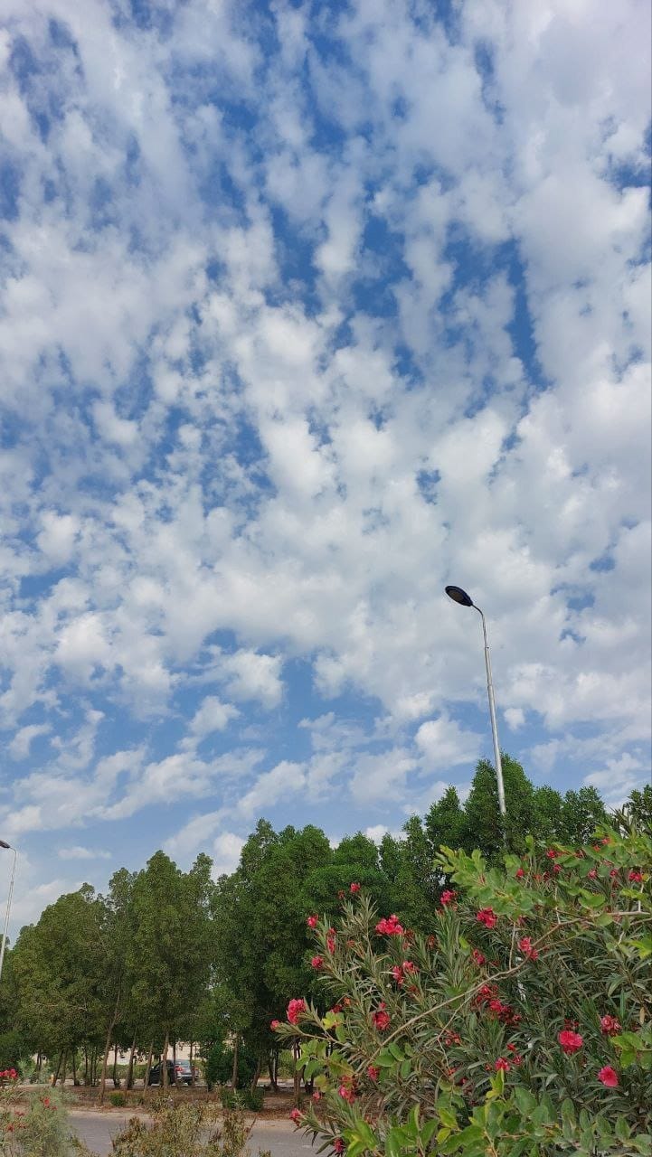 Img 20240703 Wa0314