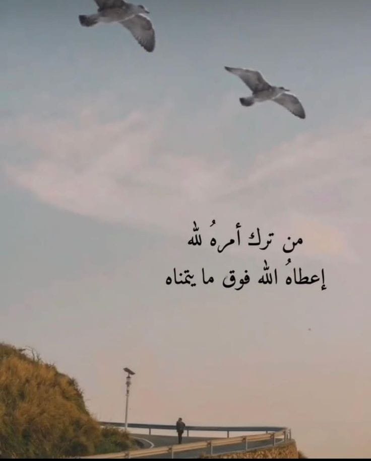 Img 20240730 Wa0111