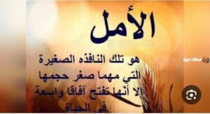 Img 20240813 Wa0126