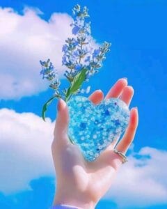 Img 20240903 Wa0068