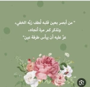 Img 20240908 Wa0136