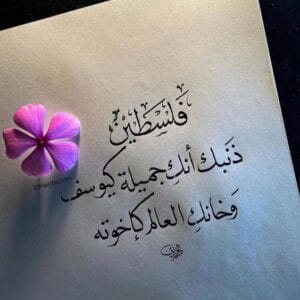Img 20240909 Wa0100