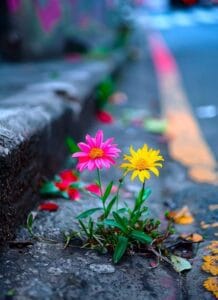 Img 20240910 Wa0044