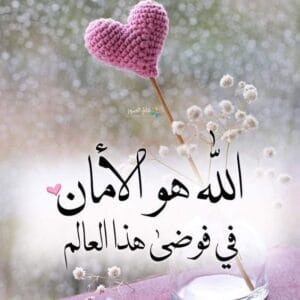 Img 20240916 Wa0079