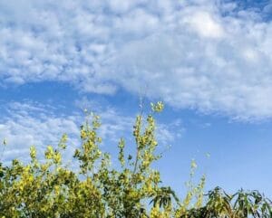 Img 20240917 Wa0040