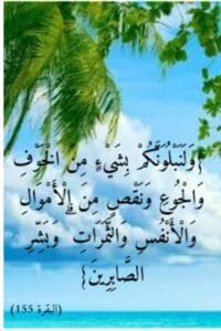 Img 20240918 Wa0070