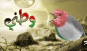 Img 20241007 Wa0052
