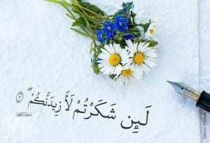 Img 20241008 Wa0046