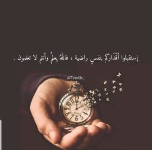 Img 20241013 Wa0117