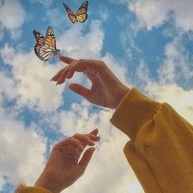 Img 20241013 Wa0134