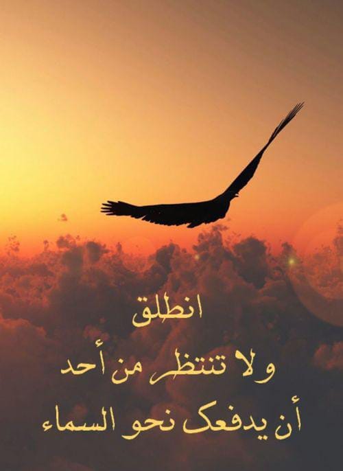 Img 20241022 Wa0102