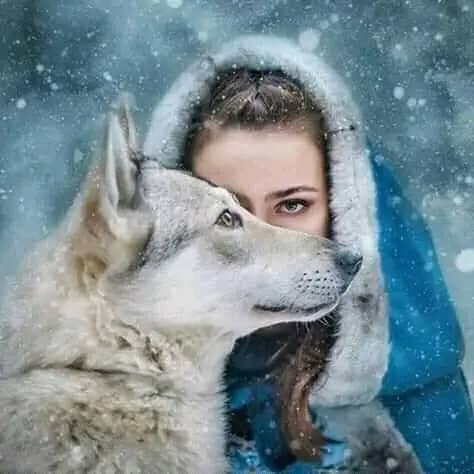 Img 20241024 Wa0110(1)